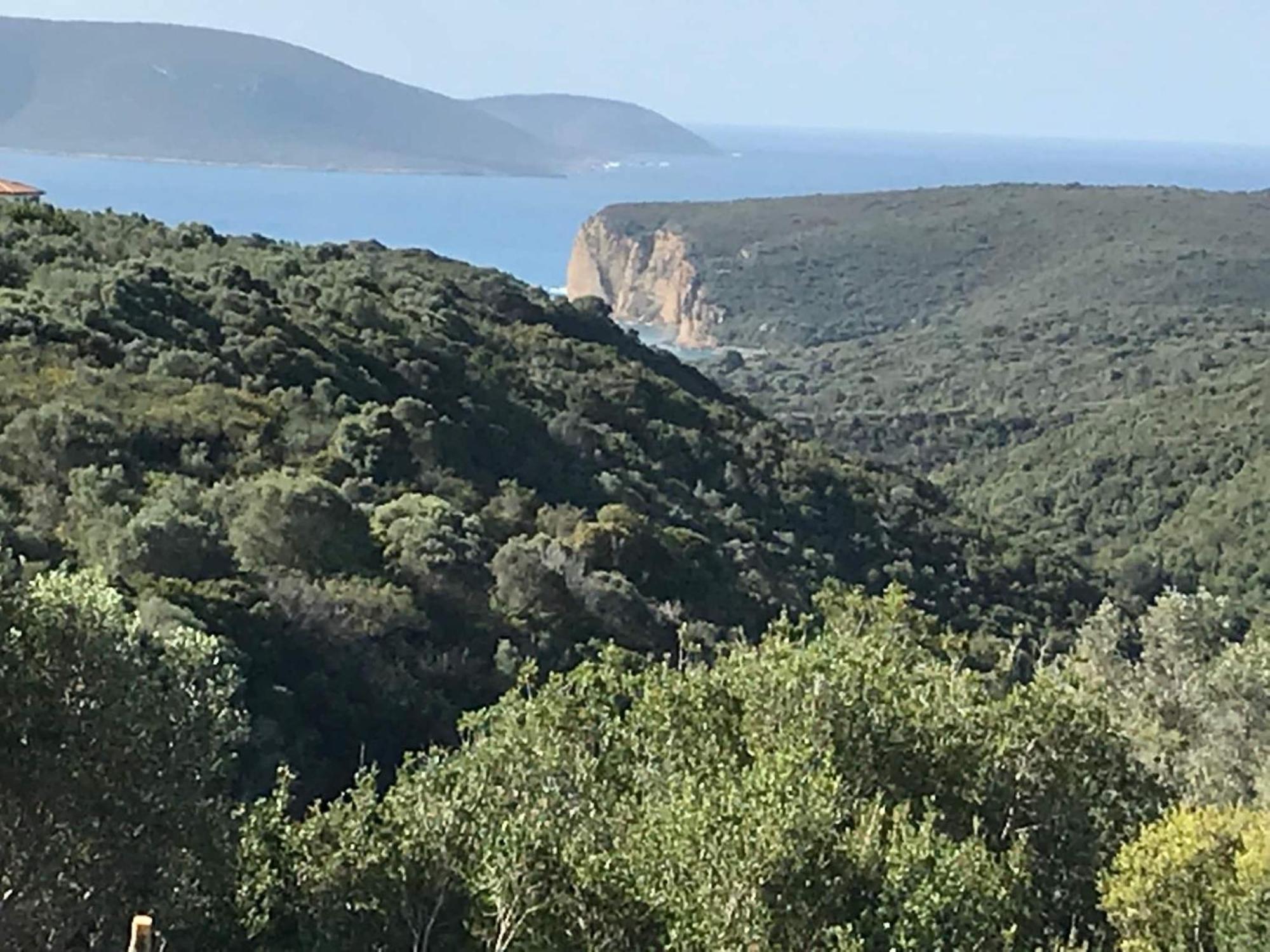 Luxurious Villa In Peloponnese With Swimming Pool Καμάρια Εξωτερικό φωτογραφία
